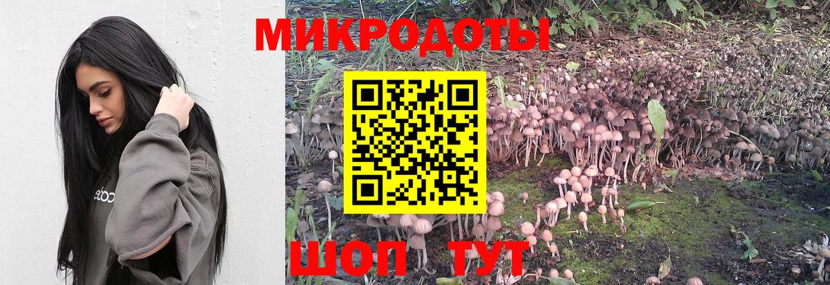 Псилоцибиновые грибы MAGIC MUSHROOMS Ярцево